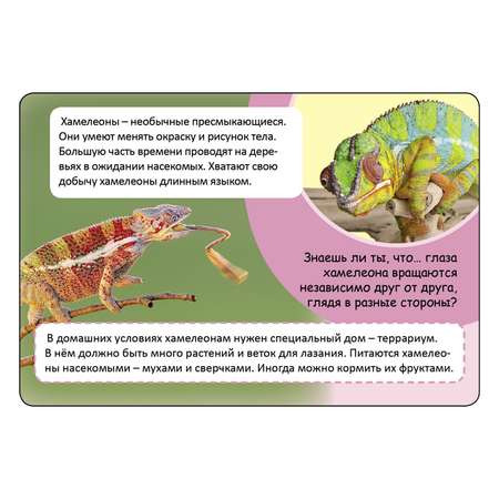 Энциклопедия в карточках Росмэн Домашние питомцы.