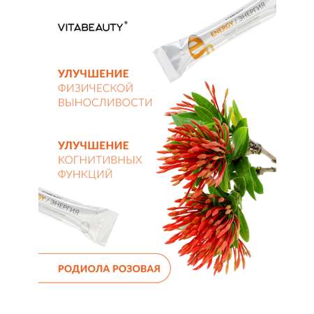 Сироп VITABEAUTY Energy 10 стиков по 10 мл.