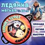 Ледянка Looney Tunes 45 см