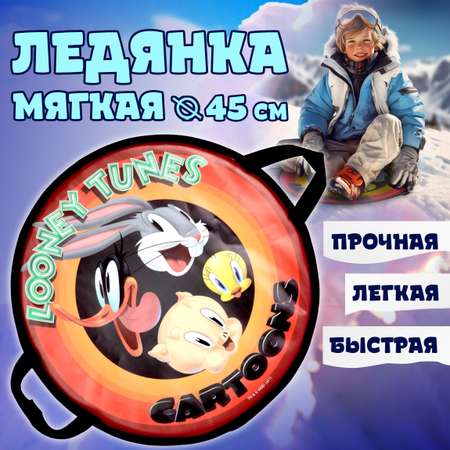 Ледянка мягкая Looney Tunes Looney Tunes 45 см круглая