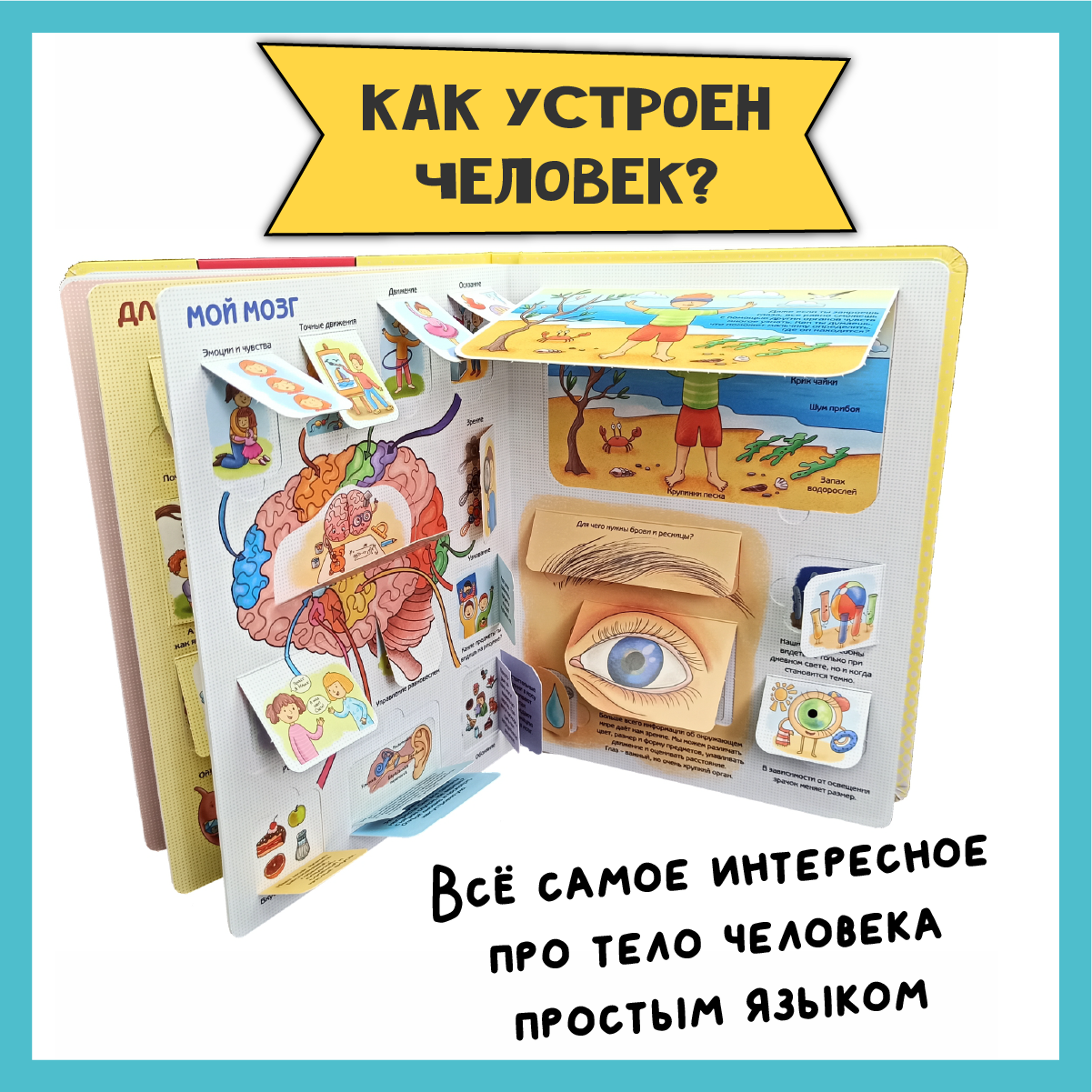 Энциклопедии для детей BimBiMon с окошками про тело человека и природу Виммельбух - фото 4