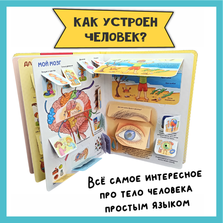 Энциклопедии для детей BimBiMon с окошками про тело человека и природу Виммельбух