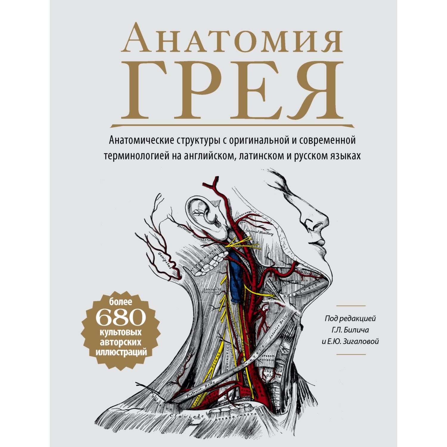 Книга Эксмо Анатомия Грея Анатомические структуры с оригинальной и современной - фото 1