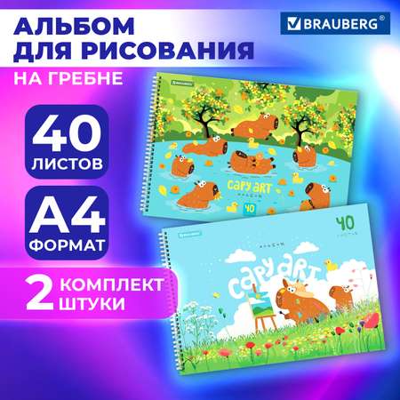 Альбом для рисования Brauberg в школу А4 40 листов на спирали набор 2 штуки