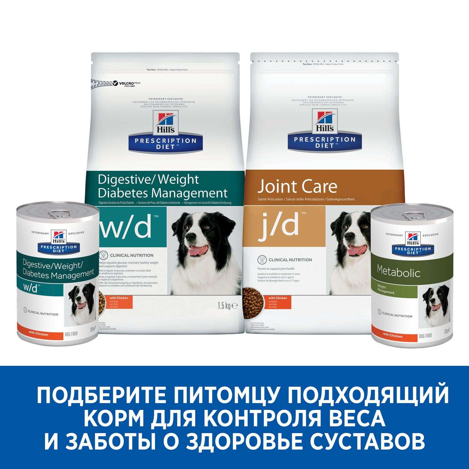 Hills prescription diet joint hot sale care