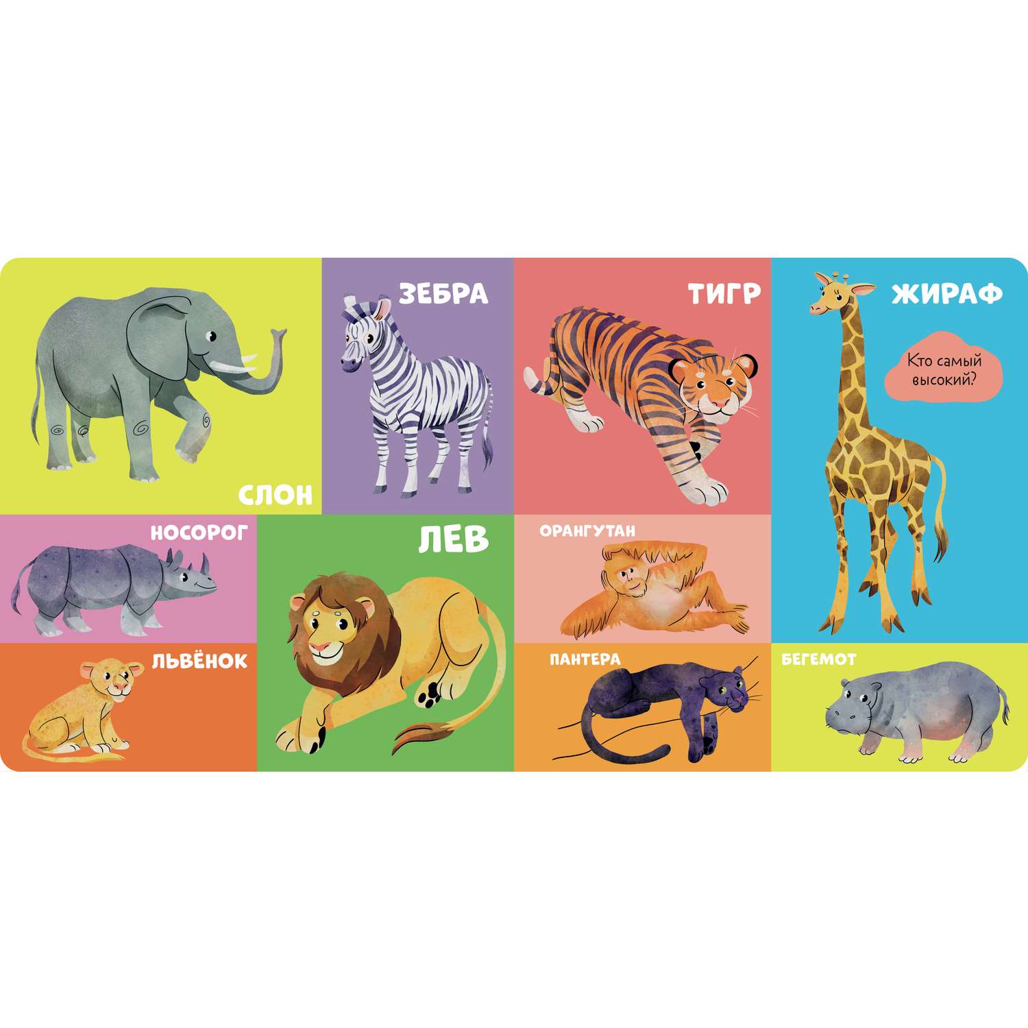 Книга Clever Издательство Книжки-картонки. 100 животных - фото 13