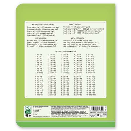 Тетрадь Полиграф Принт Оттенки зеленого А5 Клетка 12л в ассортименте 8347/5