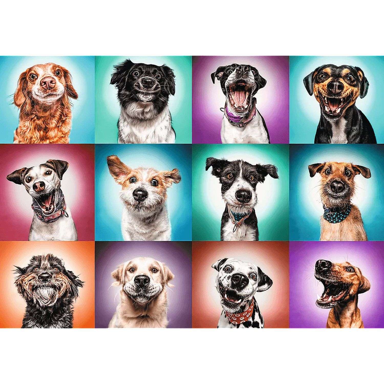 Пазл Trefl Смешные портреты собак 2000элементов 27119 - фото 2