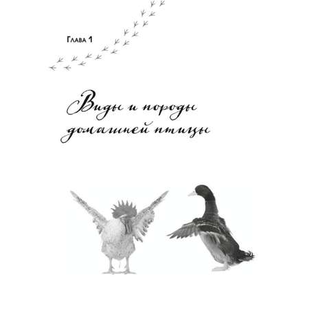Книга Эксмо Птицеводство без ошибок Куры утки индюшки гуси цесарки и перепела для начинающих
