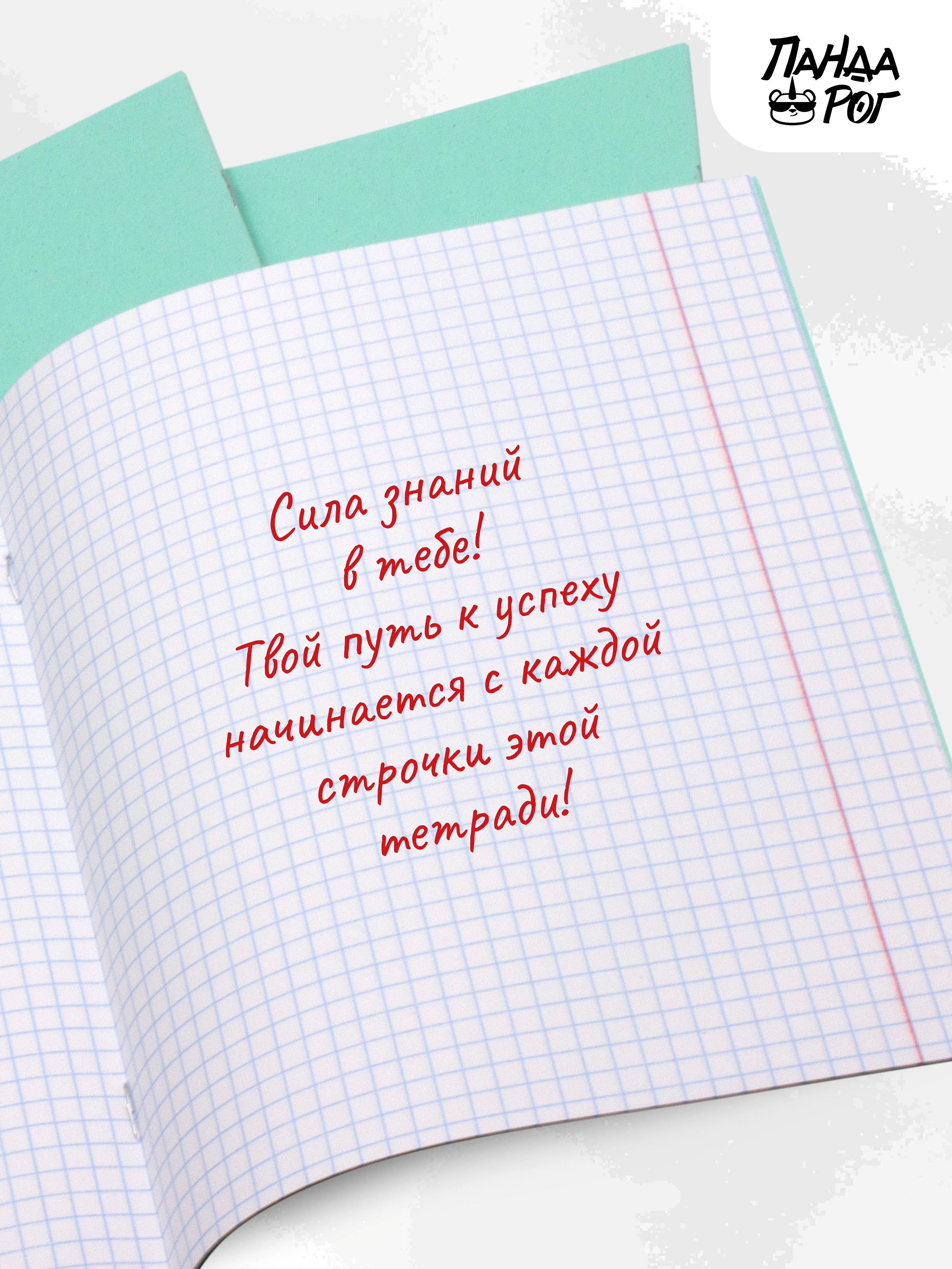 Набор тетрадей школьных ПАНДАРОГ А5 12 листов офсет клетка 20шт - фото 6