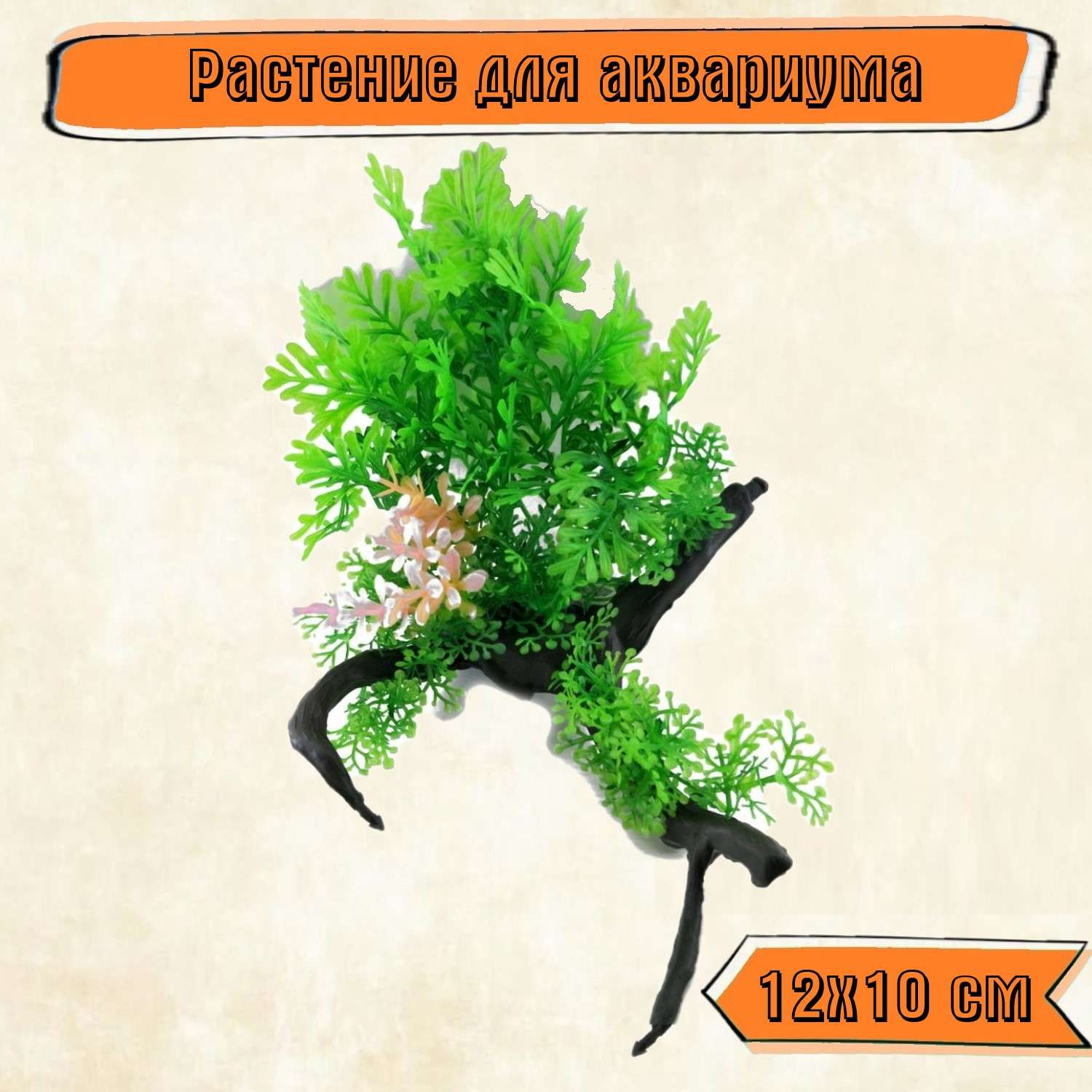 Аквариумное растение Rabizy с корягой 12х10 см - фото 1