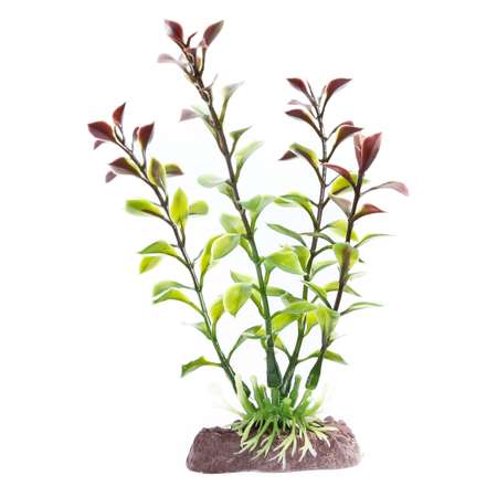 Растение PennPlax Red Blooming Ludwigia с грузом 18см P12RSH