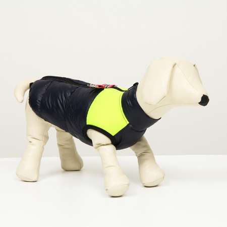 Куртка для собак Sima-Land размер 12 синяя с жёлтым