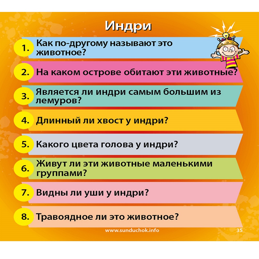 Настольная игра BrainBox Сундучок Знаний В мире животных - фото 5