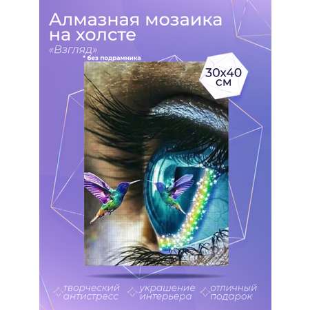 Алмазная мозаика на холсте Solmax Взгляд 30 x 40 см CP54079