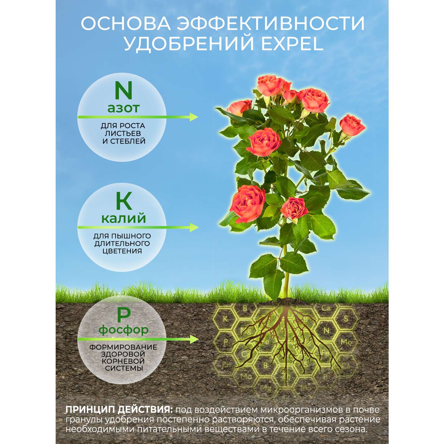 Удобрение розы и цветы Expel 12 органик микс NPK 3-5-1 - фото 2