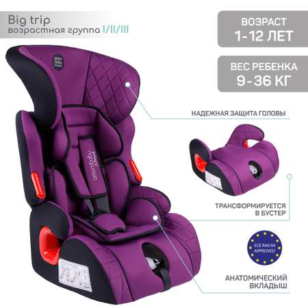 Автокресло детское AmaroBaby Big trip группа I II III фиолетовый