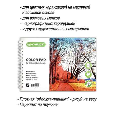 Альбом-скетчбук ACMELIAE Для рисования и творчества на пружине А4 160 г 30 листов