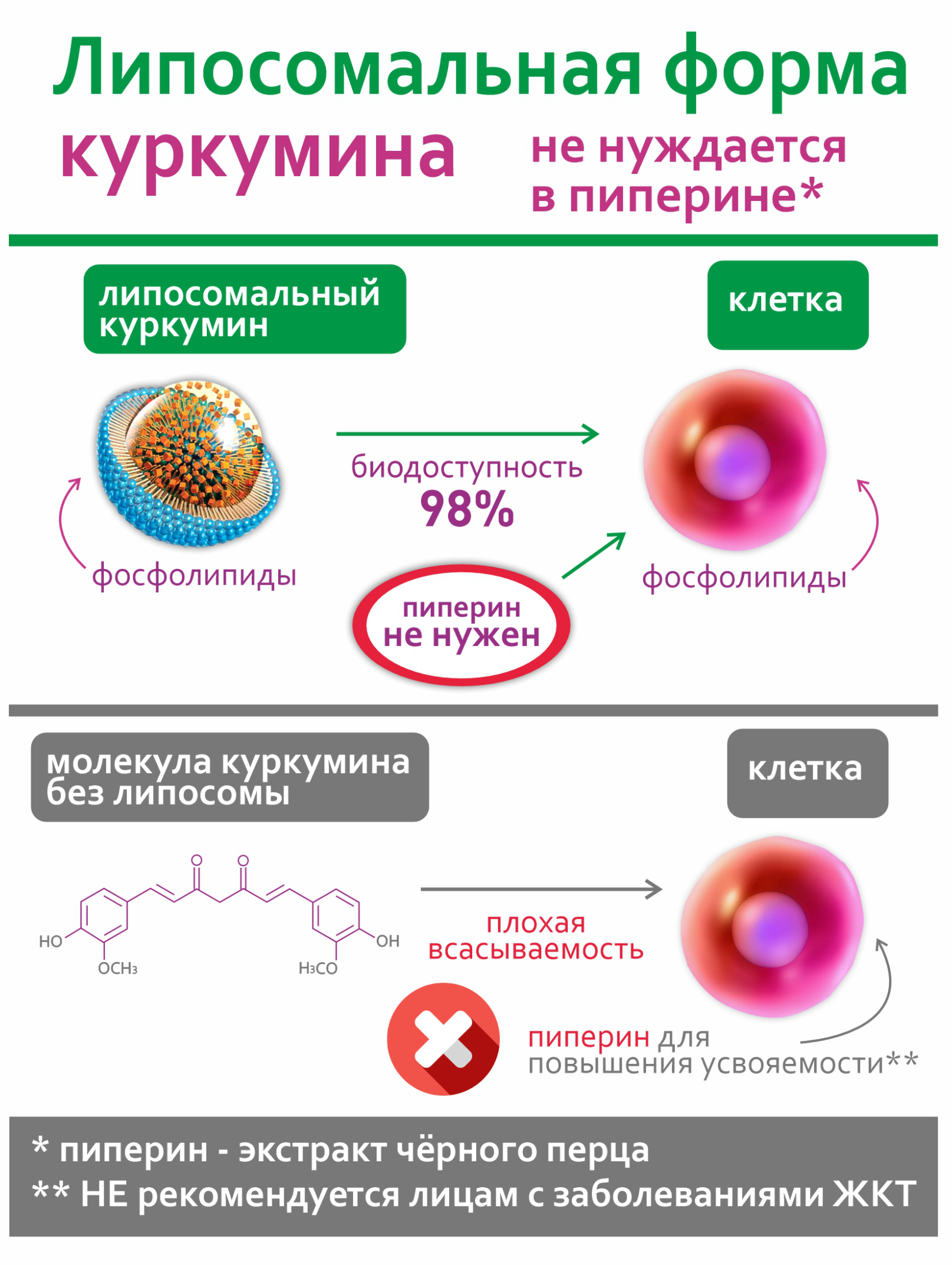 Концентрат Алтайские традиции Липосомальный куркумин Диабетин - фото 4