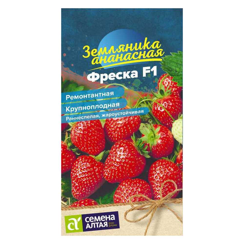 Семена Семена Алтая ягода земляника Фреска ремонтантная 5 шт купить по цене  250 ₽ в интернет-магазине Детский мир