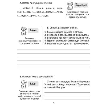 Книга ИД Литера Проверочные работы на все темы школьной программы по русскому языку. 1-4 классы