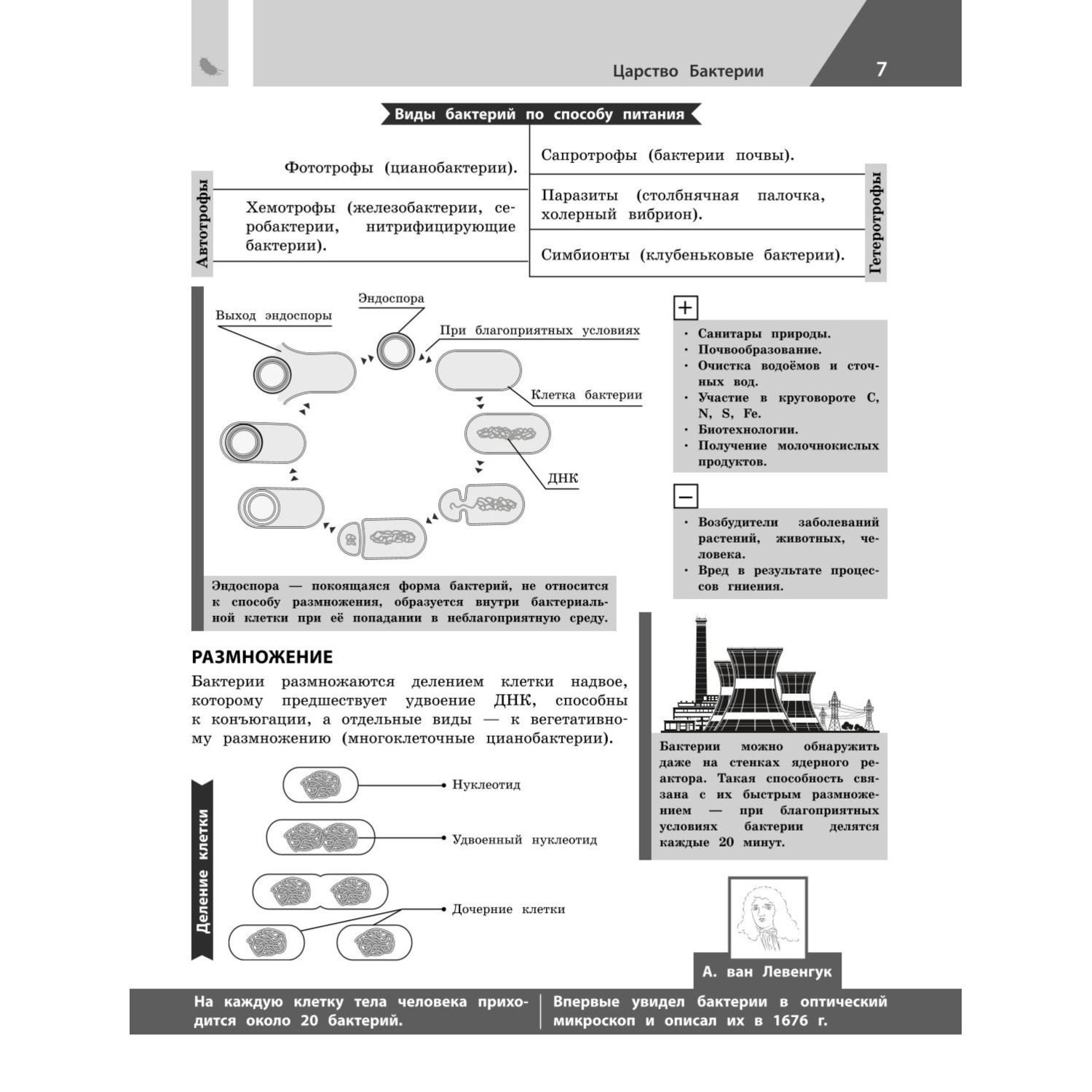 Книга Эксмо Биология в инфографике - фото 6