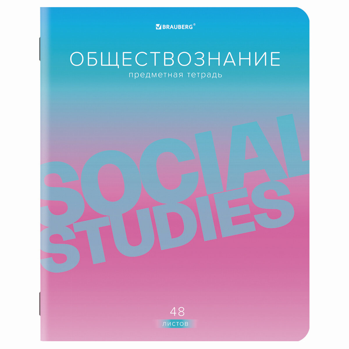 Набор тетрадей Brauberg предметные со справочным материалом в клетку/линейку 10 предметов 48 листов Gradient - фото 7
