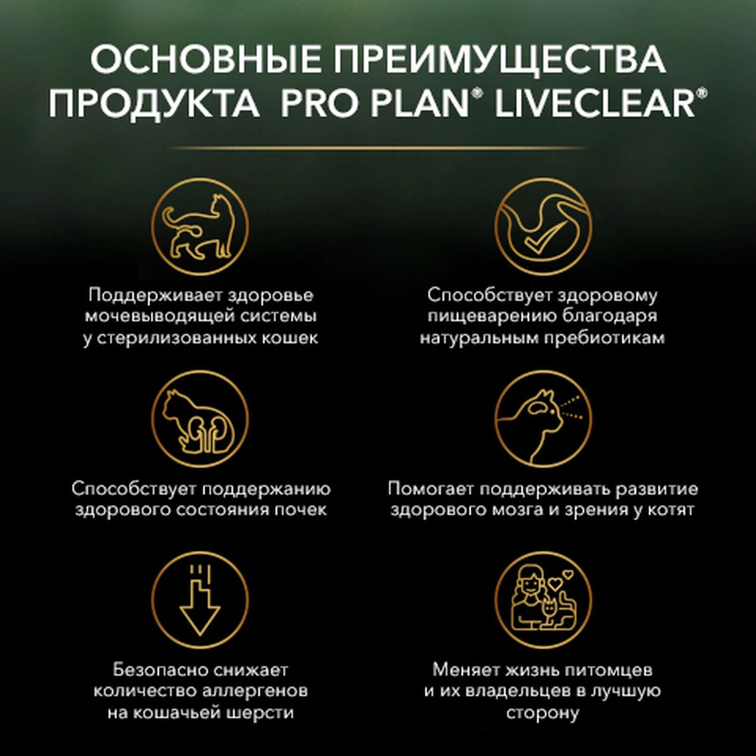 Корм снижает количество аллергенов в шерсти. Корм PROPLAN для снижения аллергенов. Проплан для снижения аллергенов в шерсти. Pro Plan liveclear Sterilised индейка 400 г. Pro Plan liveclear Kitten для снижения количество аллергенов в шерсти.