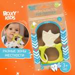 Прорезыватель для зубов ROXY-KIDS Fox teether цвет зеленый