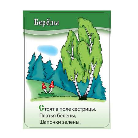 Развивающие обучающие карточки Шпаргалки для мамы Детские загадки - настольная игра для детей