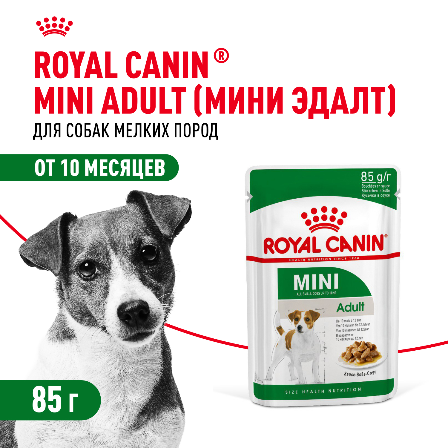 Корм для собак ROYAL CANIN Adult мелких размеров от 10 месяцев кусочки в соусе пауч 85г - фото 1