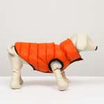 Куртка для собак Sima-Land двухсторонняя XS оранжевая/зелёная