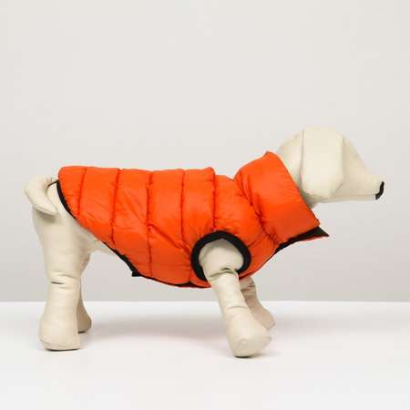 Куртка для собак Sima-Land двухсторонняя XS оранжевая/зелёная