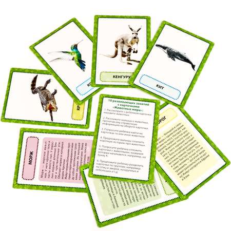 Карточки развивающие УМка Животные мира 36 карточек 234908