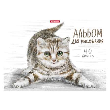 Альбом для рисования ErichKrause Tabby А4 40л 49844