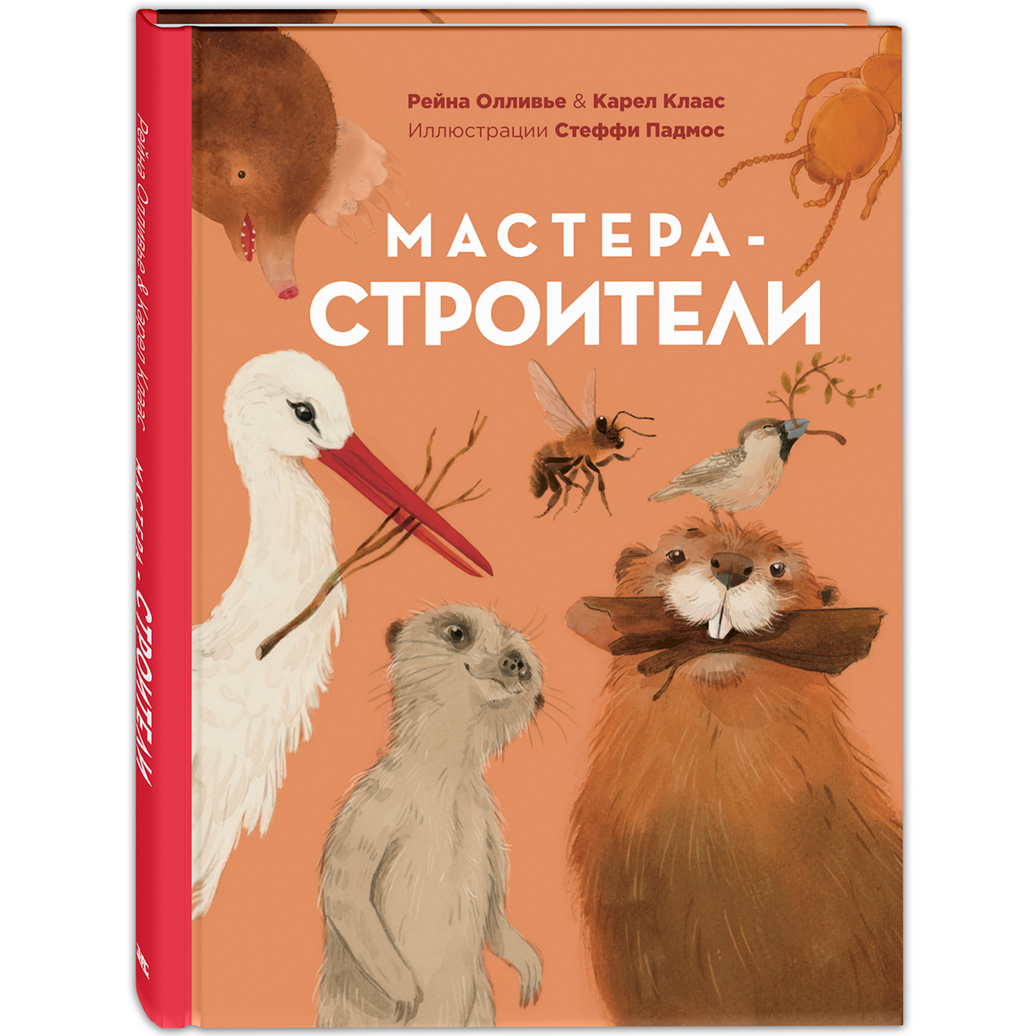 Книга ЭНАС-книга Мастера-строители - фото 1