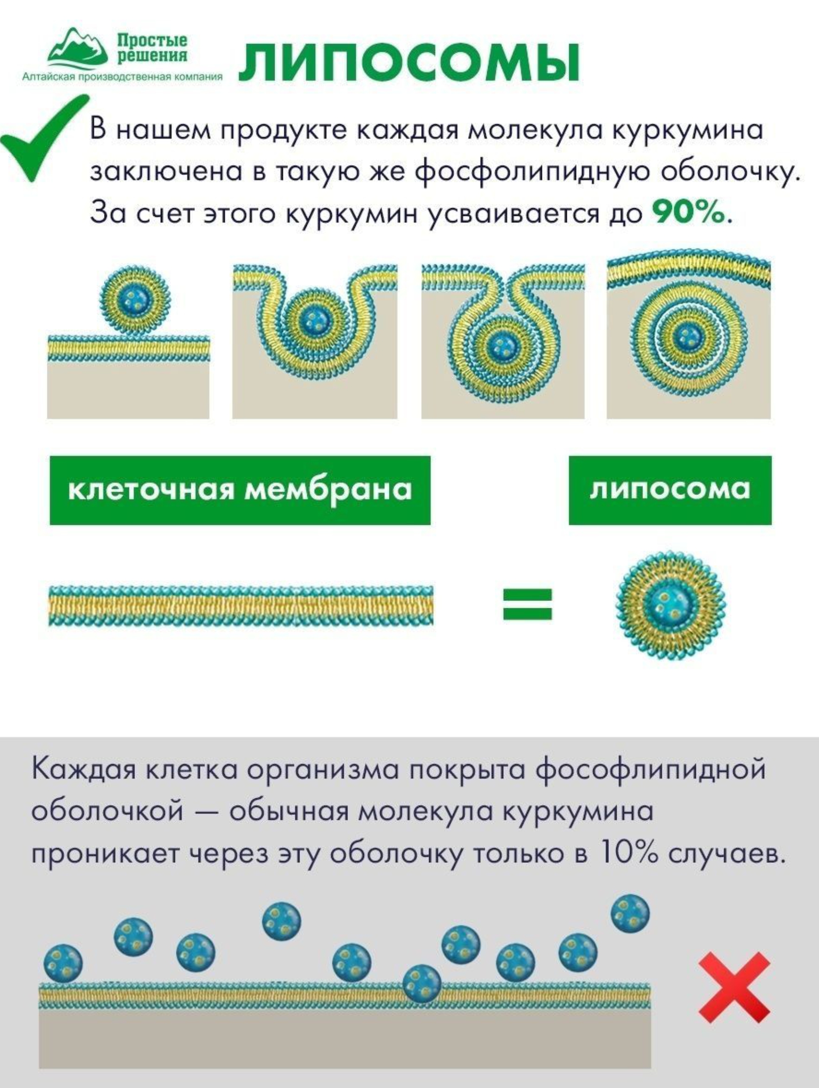 Концетраты пищевые Алтайские традиции Липосомальный куркумин Биотин Коллаген Цинк 60 капсул - фото 5