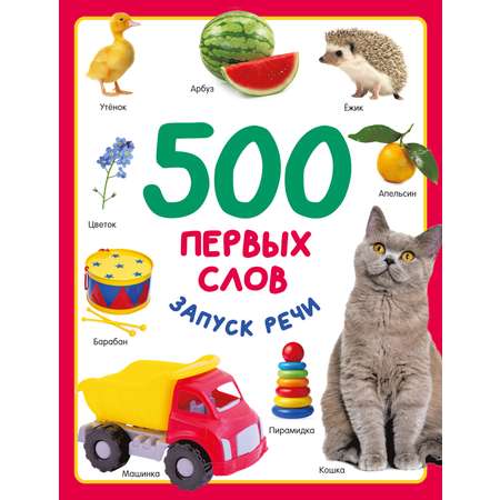 Книга АСТ 500 первых слов