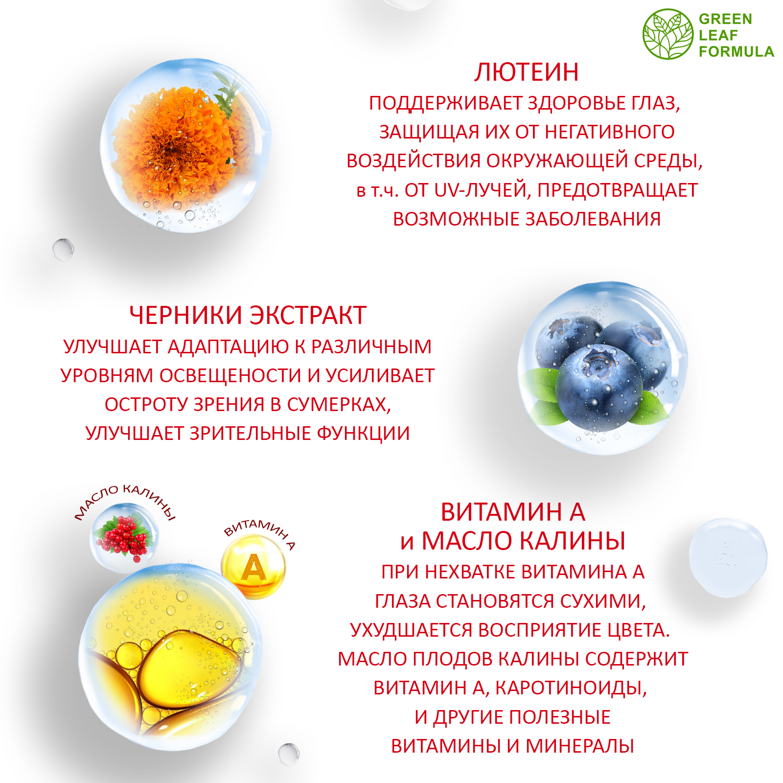 Лютеин комплекс для глаз Green Leaf Formula черника с витамином А для зрения - фото 4