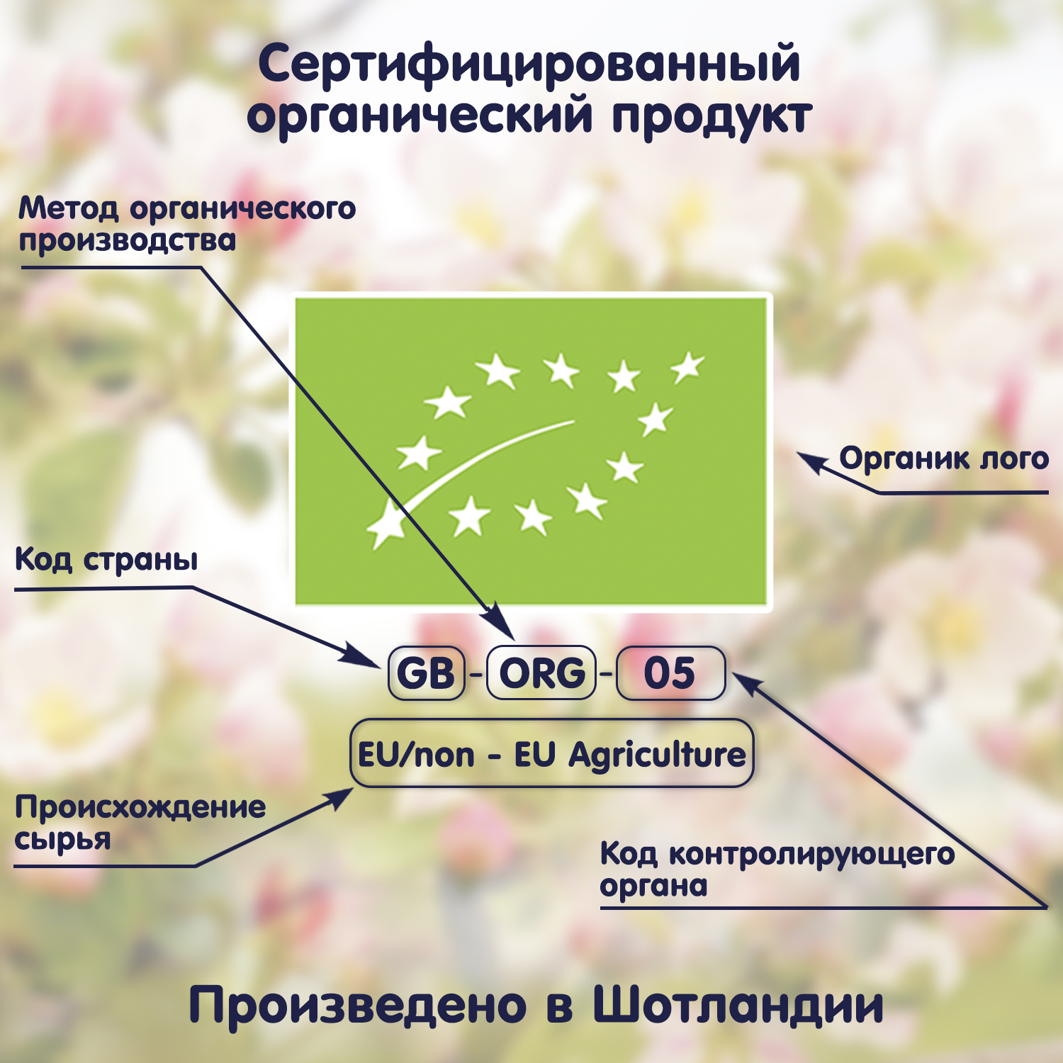 Пюре Fleur Alpine Органик яблоко-банан-черника-йогурт пауч 120г с 6месяцев - фото 10