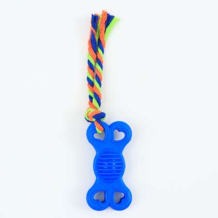 Игрушка Пижон жевательная с канатом «Косточка на привязи» 9.5 см синяя