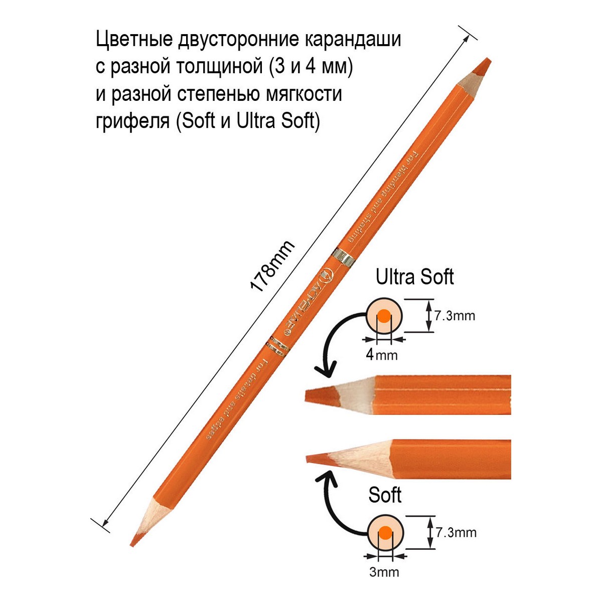 Карандаши цветные ACMELIAE двусторонние 15 штук и точилка в картонном футляре - фото 3