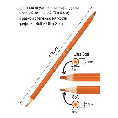 Карандаши цветные ACMELIAE двусторонние 15 штук и точилка в картонном футляре