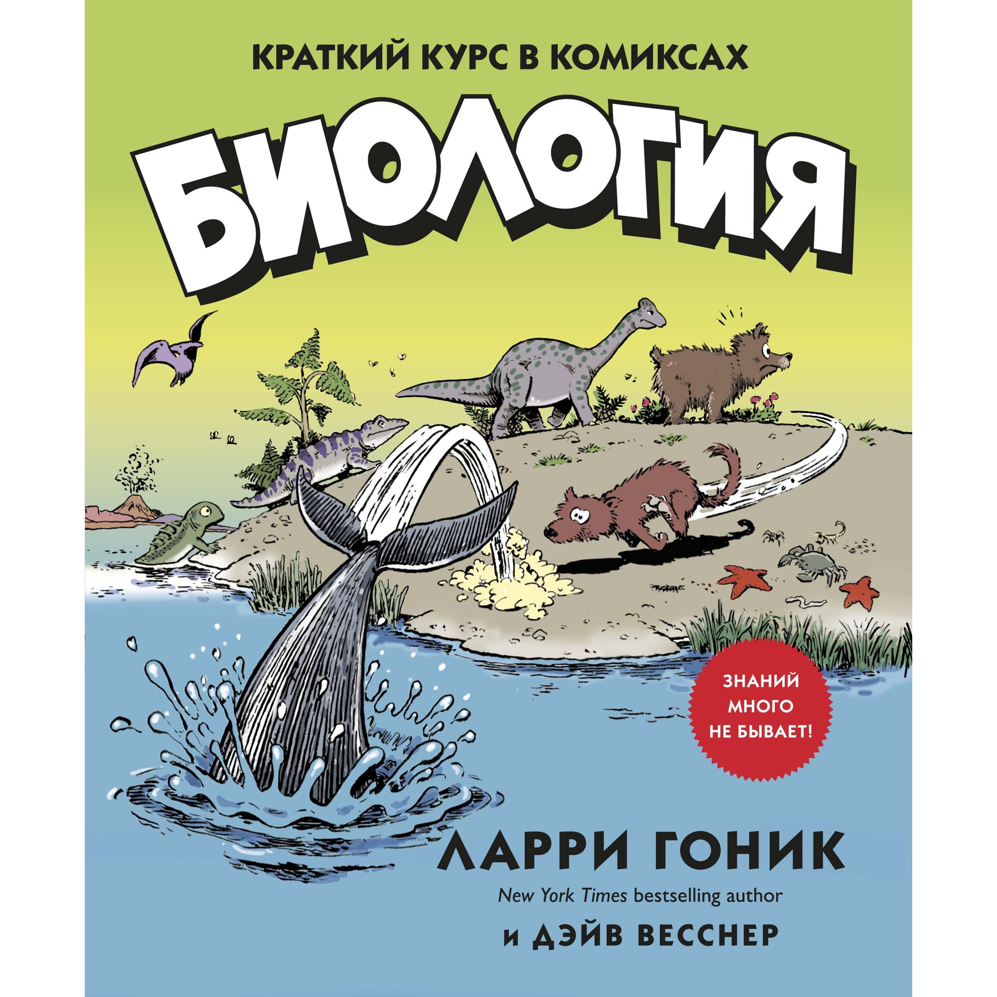 Книга КОЛИБРИ Биология. Краткий курс в комиксах купить по цене 756 ₽ в  интернет-магазине Детский мир