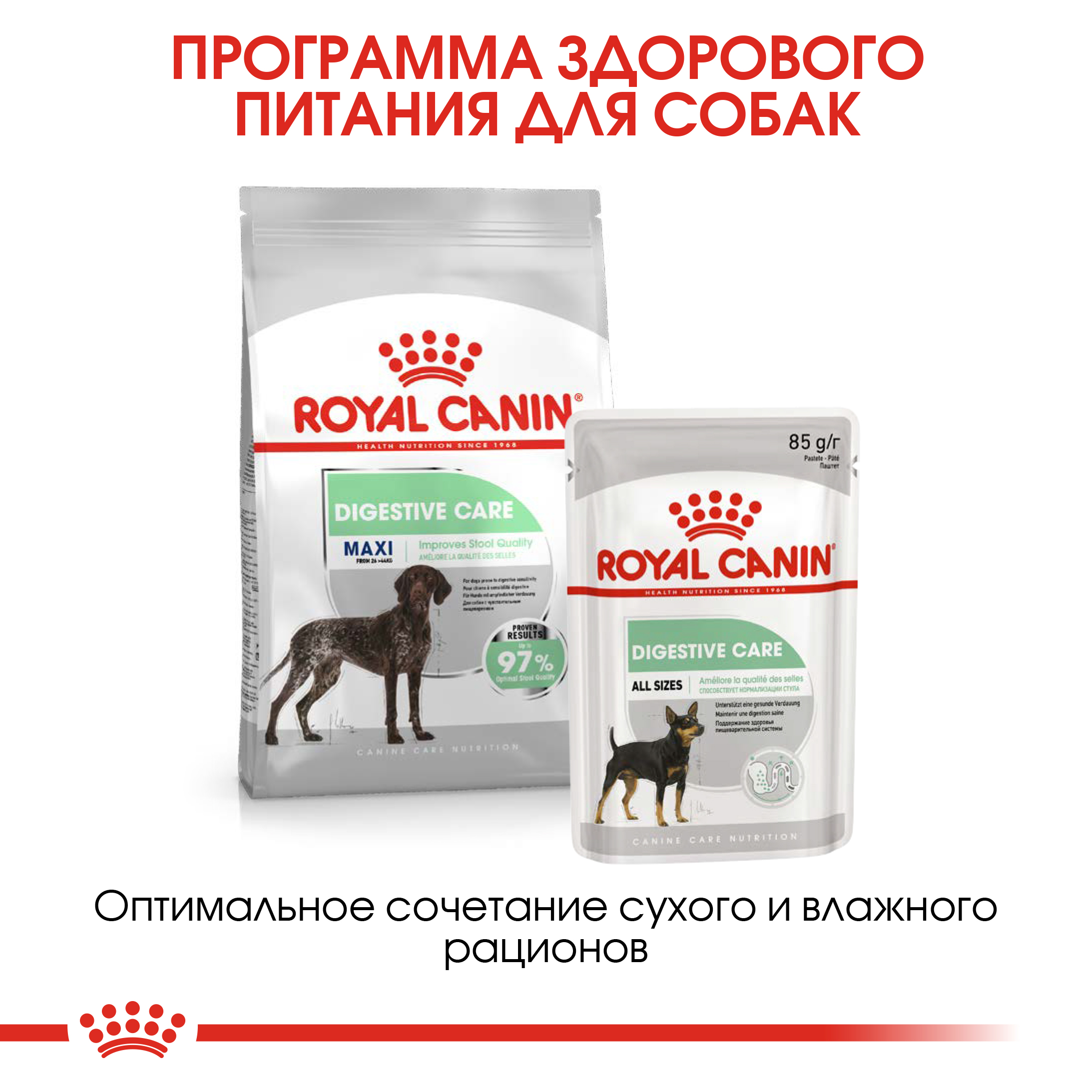 Сухой корм для собак ROYAL CANIN Digestive care 10 кг (лечебный) - фото 7