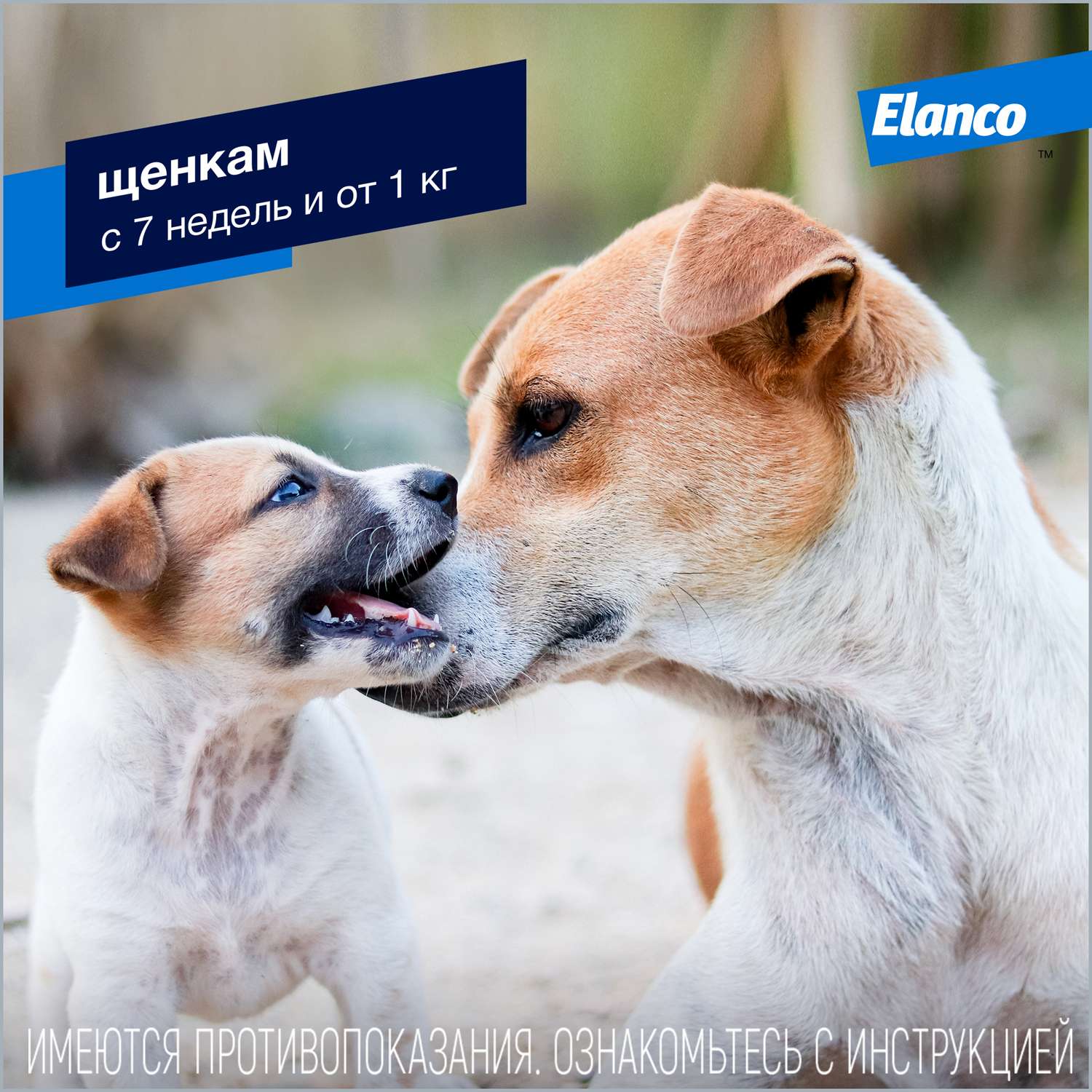 Капли для собак Elanco Адвокат от 10 до 25кг антипаразитарные 1пипетка - фото 7