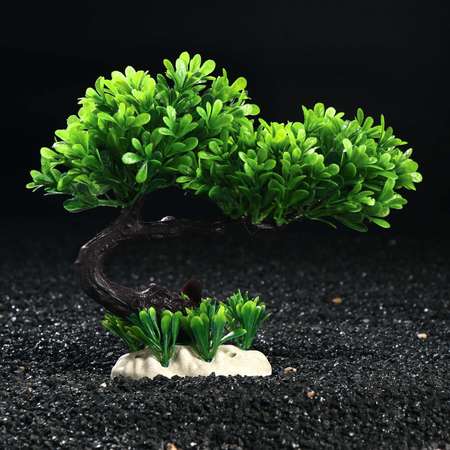 Растение для аквариума Пижон Аква 16 см
