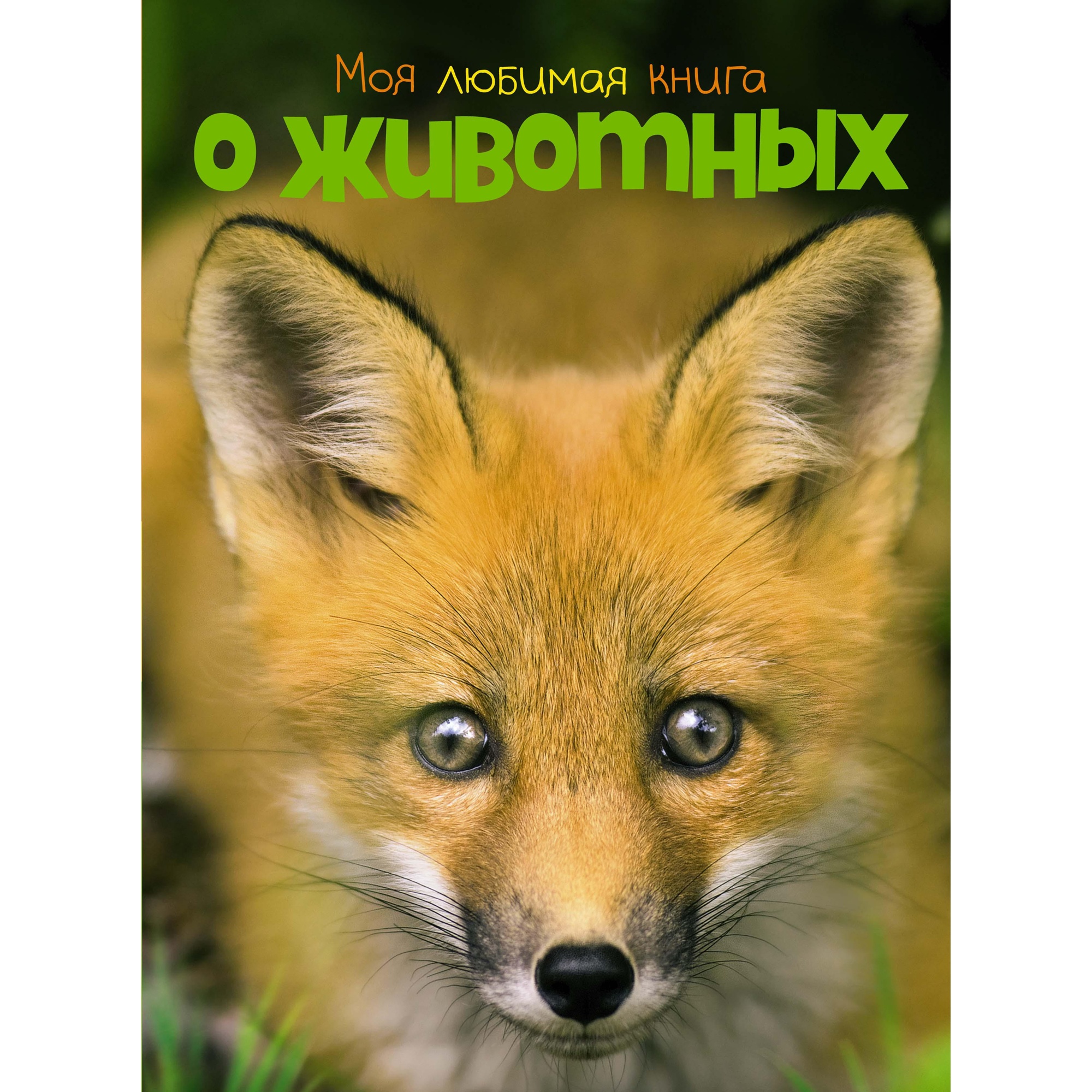 Книга МАХАОН Моя любимая книга о животных Куйе Н. купить по цене 1245 ₽ в  интернет-магазине Детский мир