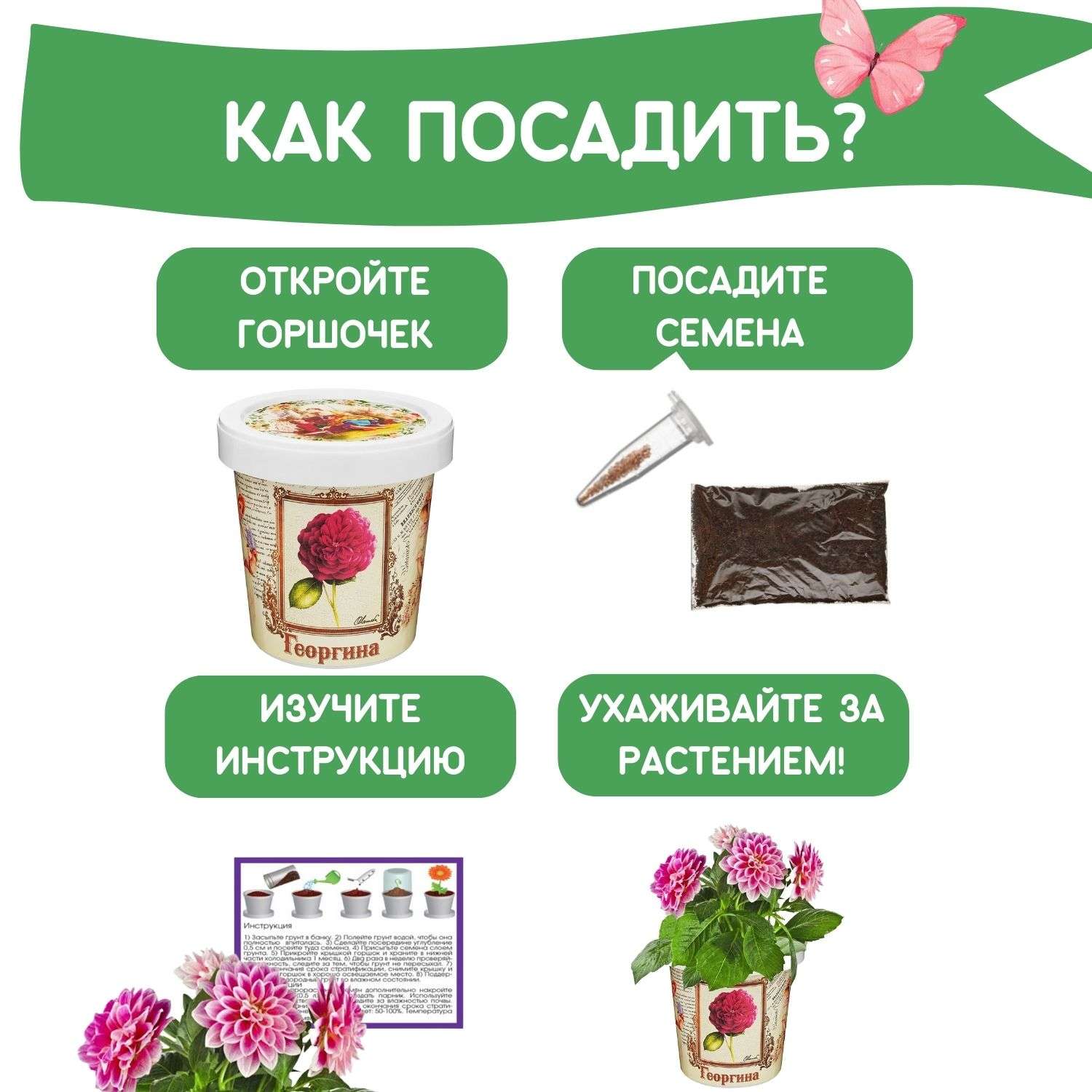 Набор для выращивания растений Rostok Visa Вырасти сам цветок Георгина в подарочном горшке - фото 4