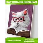 Картина по номерам Art on Canvas холст на деревянном подрамнике 40х50 см Умный кот